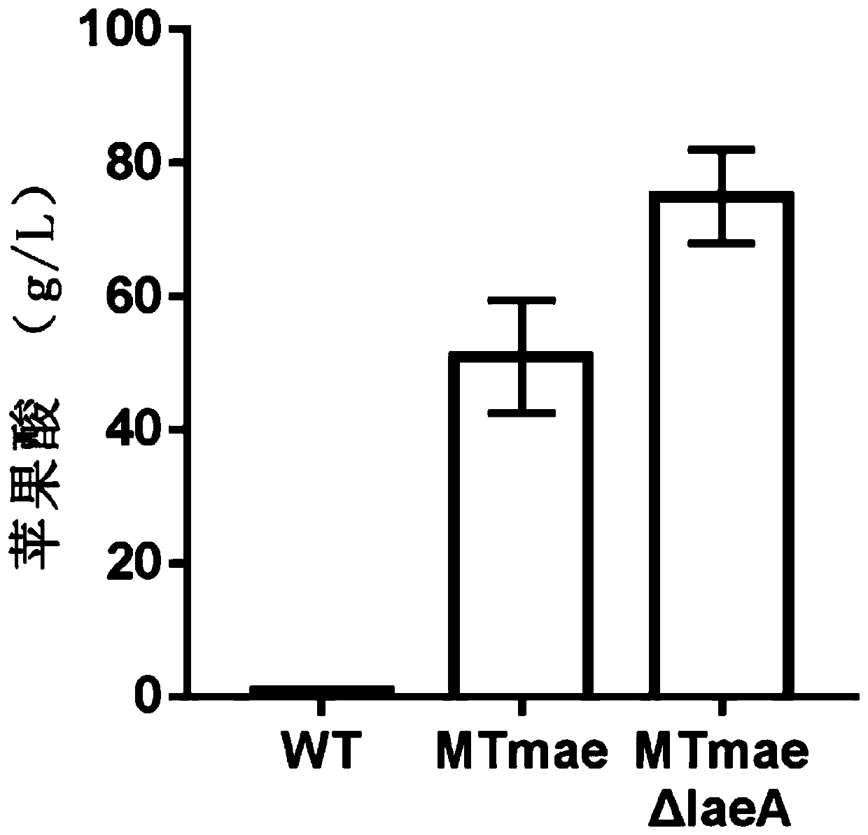 Genetically engineered bacterium producing malic acid and method for producing malic acid