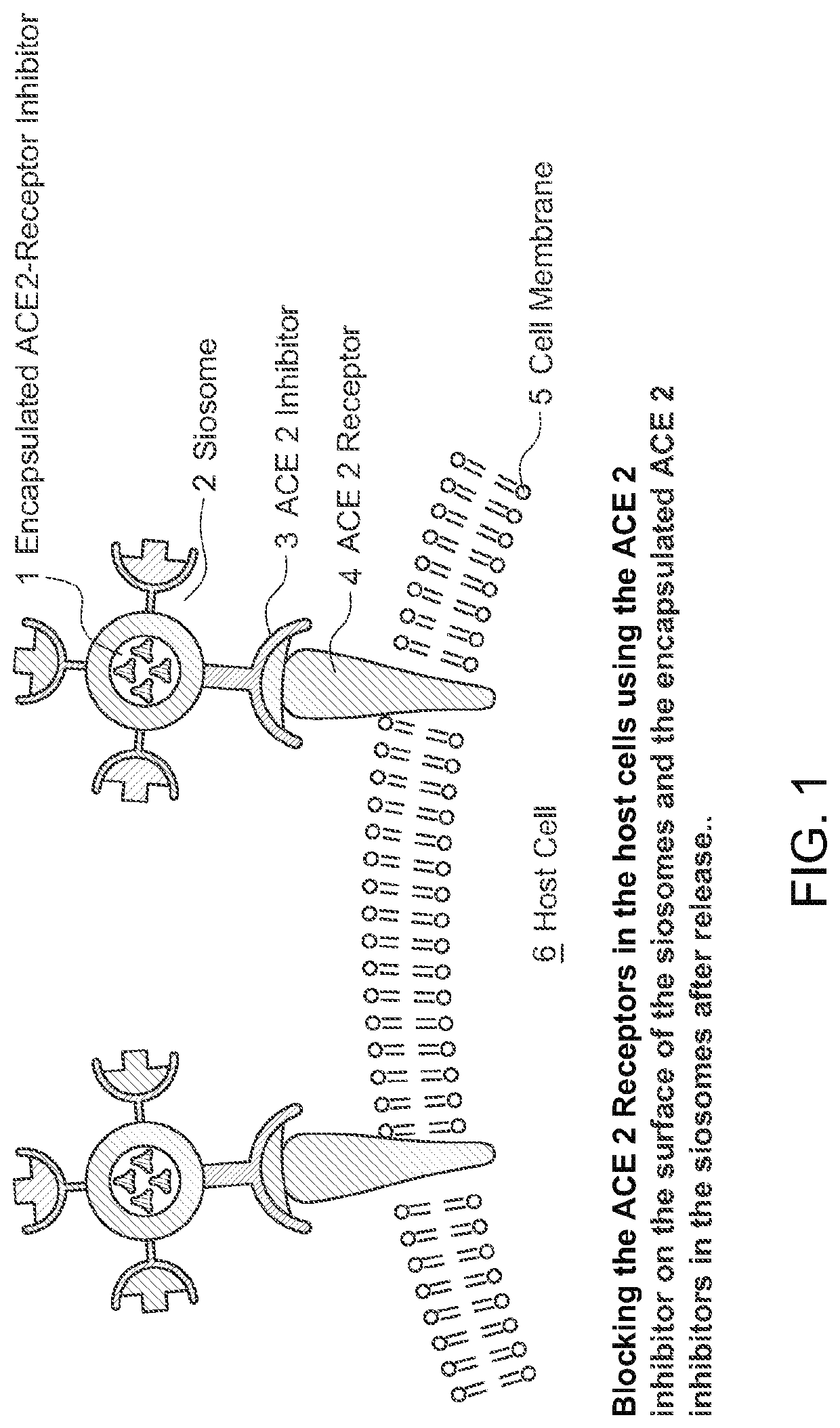 Organosilicon carriers for use in treating infections and/or diseases caused by sars viruses