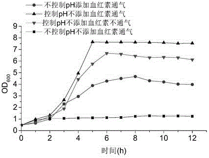 Method for promoting aerobic respiration of lactococcus lactis