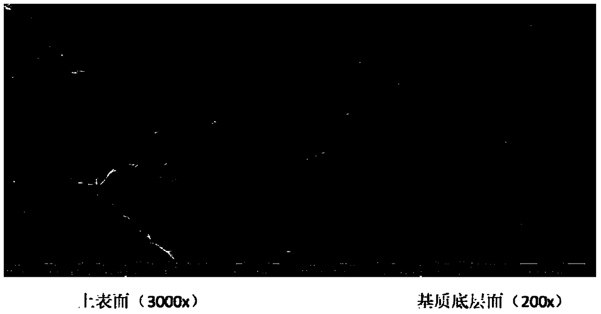 A kind of artificial cornea and preparation method thereof