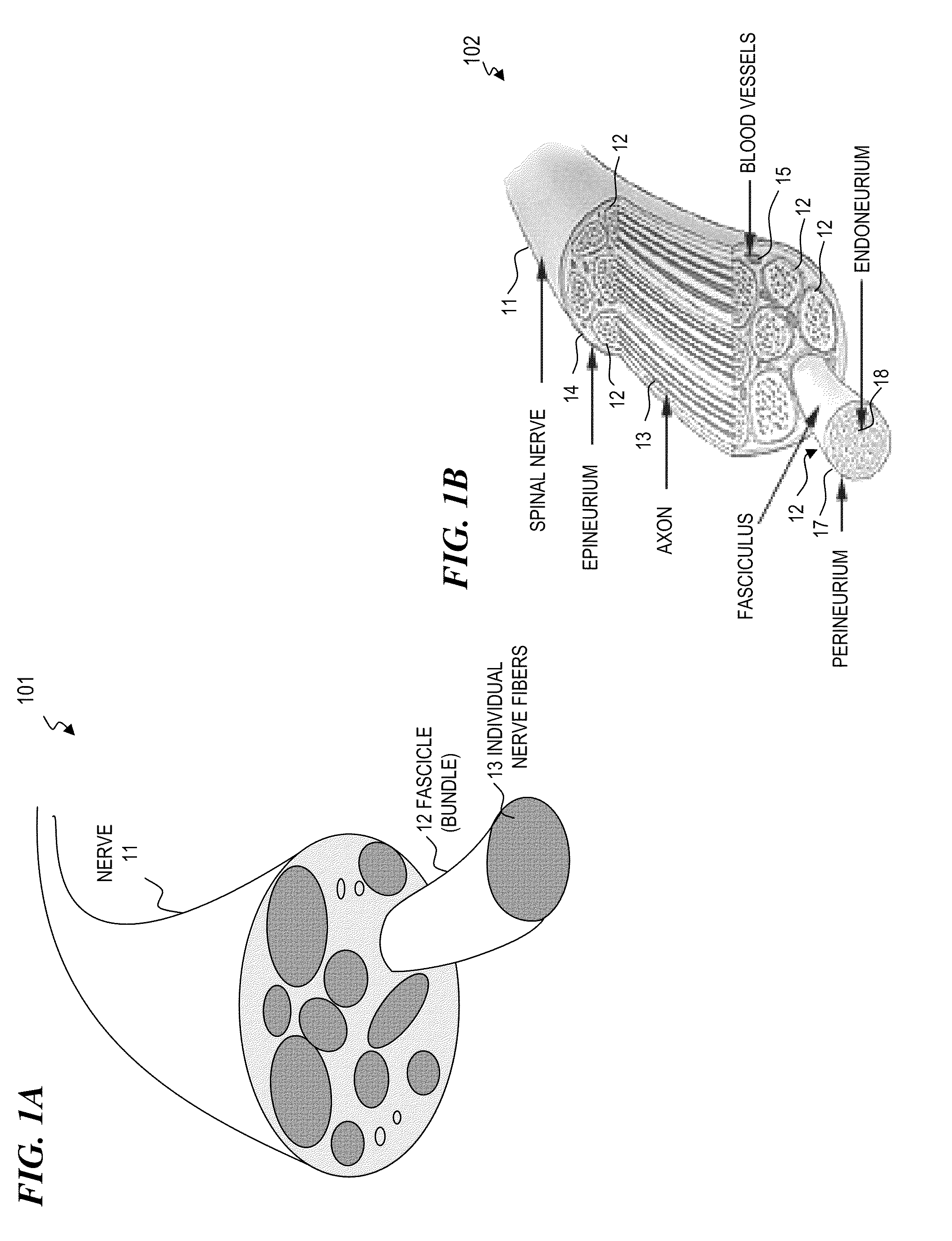 Cuff apparatus and method for optical and/or electrical nerve stimulation of peripheral nerves