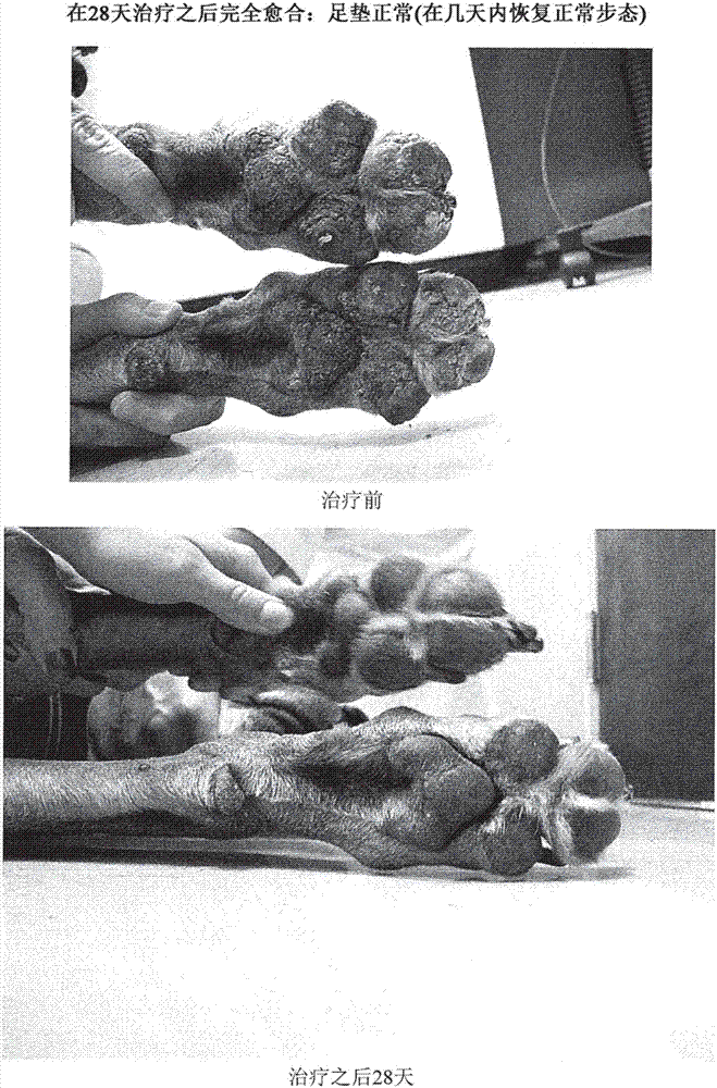 Treatment of pemphigus