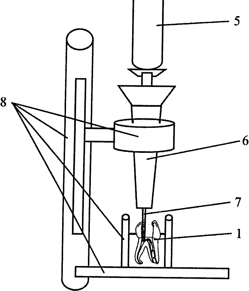 Model device for dynamic detection of root canal flushing effect and detection method thereof