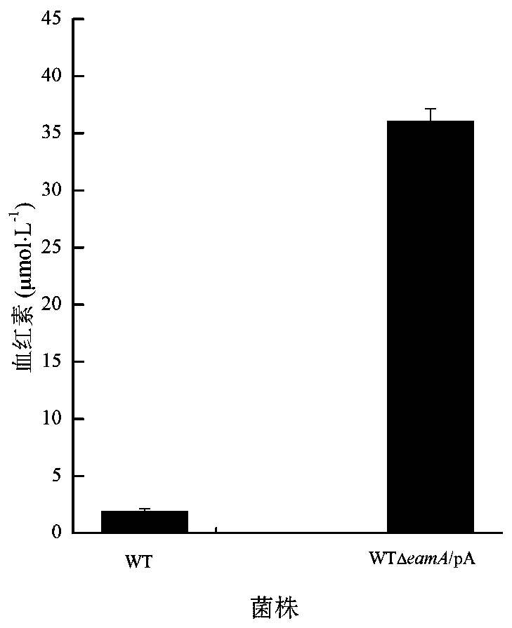 Method for improving activity of dye decolorizing peroxidase