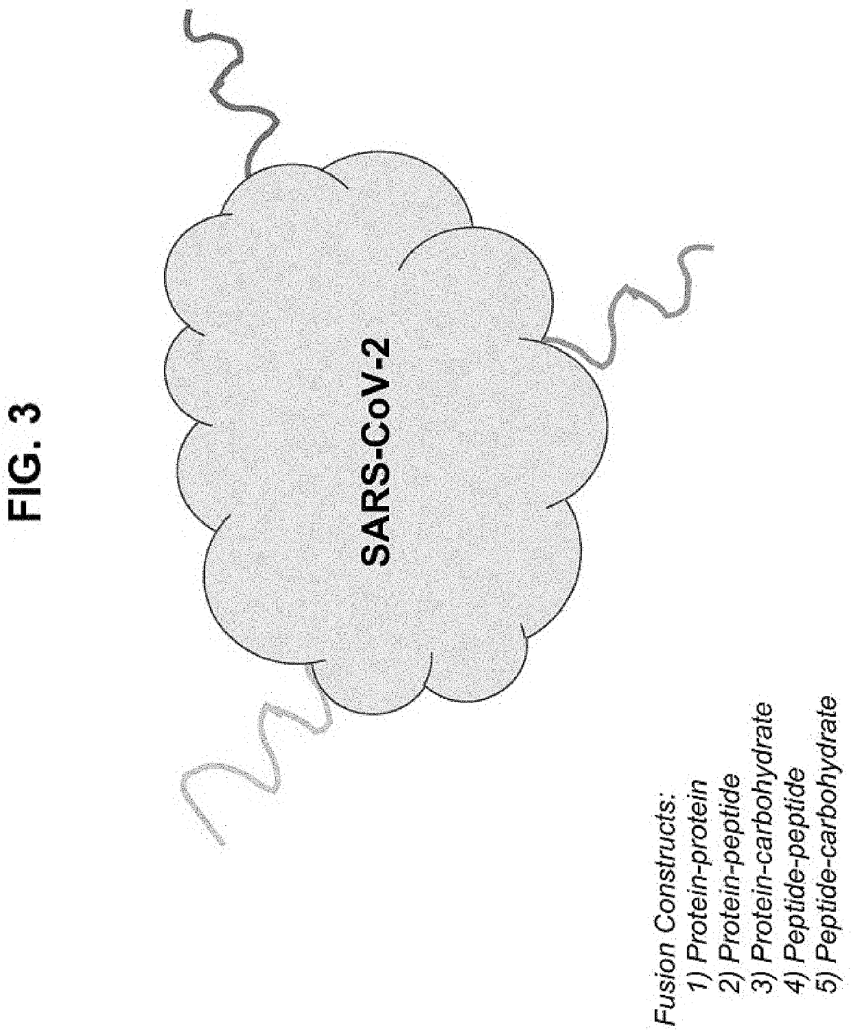 Immune memory enhanced preparations and uses thereof