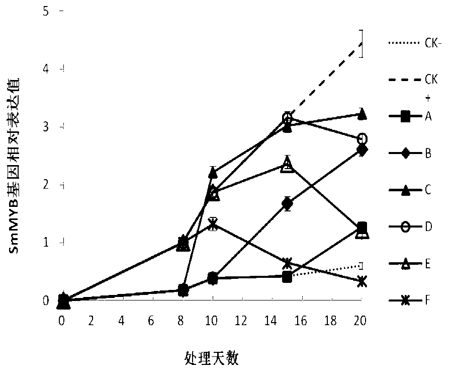 Gene sequence for synthesizing relative transcription factor SmMYB by eggplant anthocyanidin