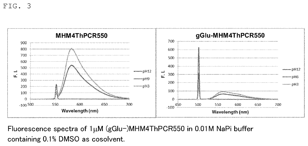 Red fluorescent probe for use in detection of peptidase activity