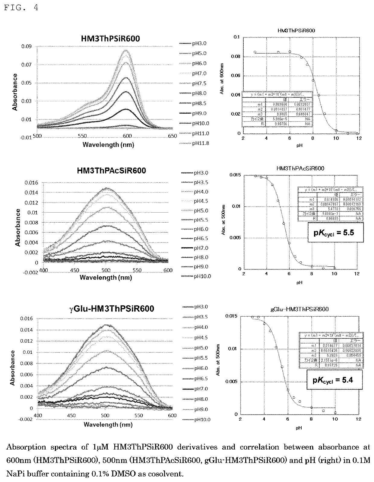 Red fluorescent probe for use in detection of peptidase activity