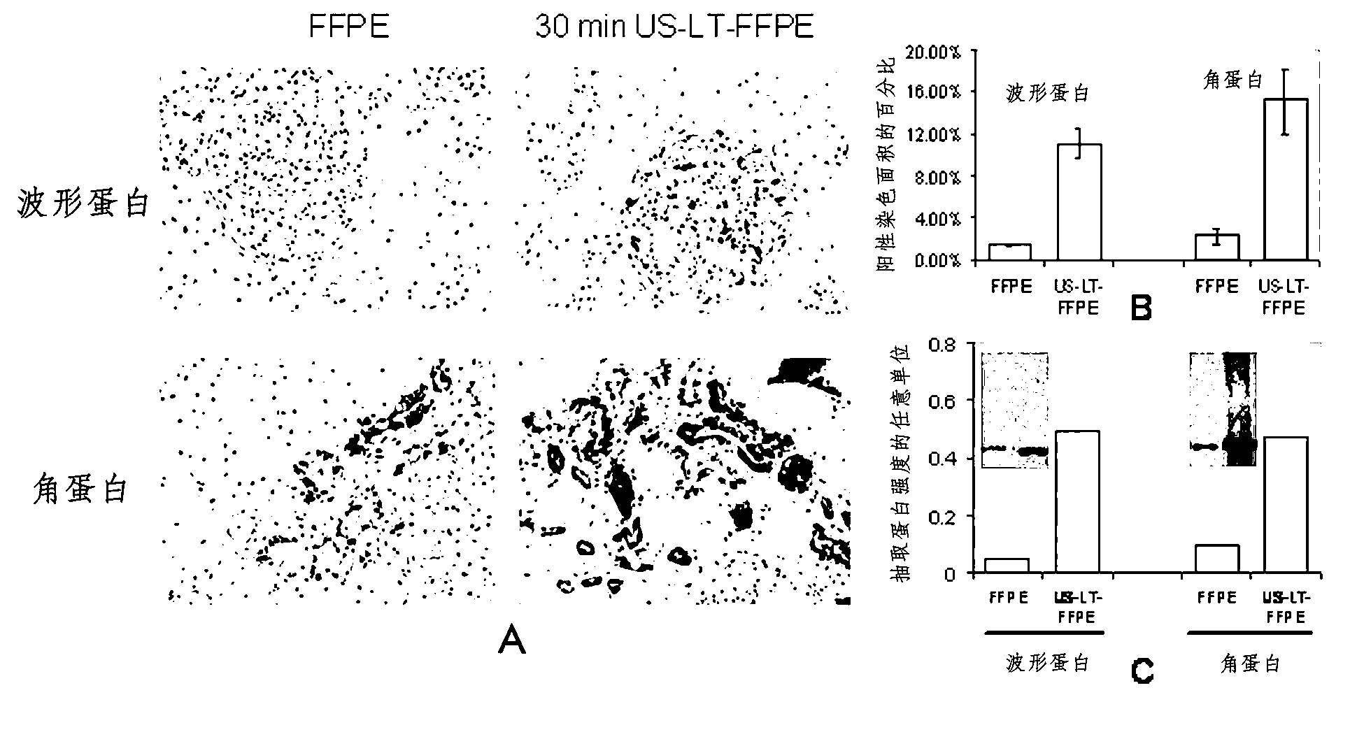 Standardization of tissue specimen preservation by ultrasound and temperature control