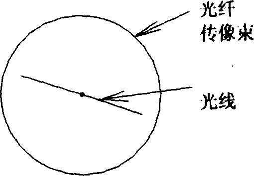 Large power generator stator winding terminal part vibration on line monitoring method