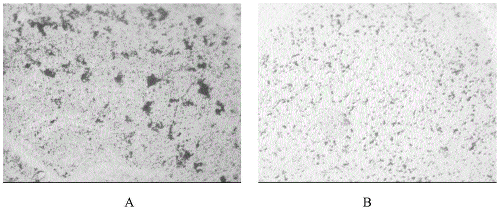 Use of hyperoside in preparation of drug for inhibiting bacterial quorum sensing system