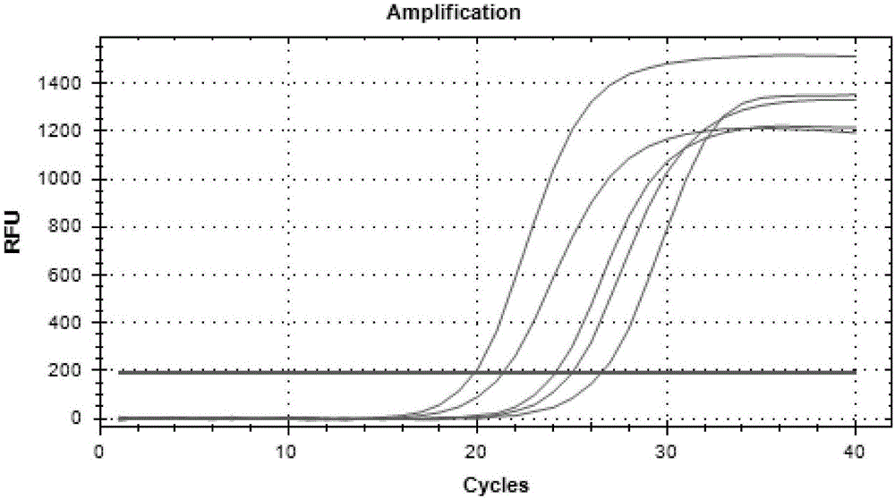 In-vitro molecular detection method for manganese SOD2 and primer