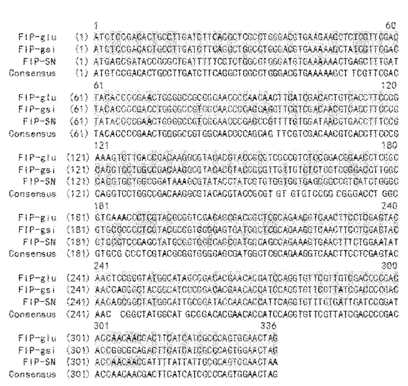 Recombinant fungal immunomodulatory protein gene in Ganoderma lucidum, protein coded whereby and application thereof