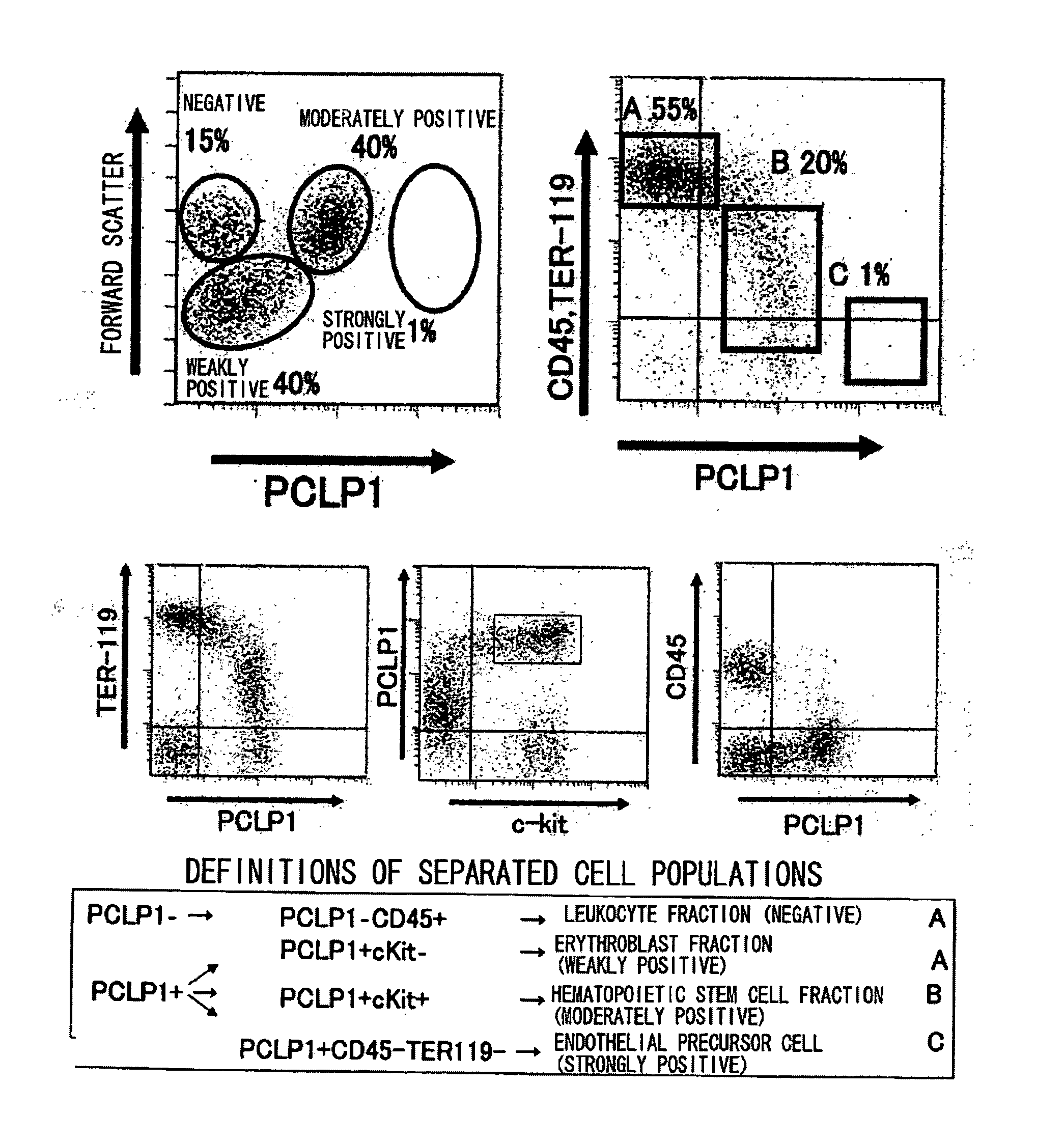 Process For Producing Hematopoietic Stem Cells Or Vascular Endothelial Precursor Cells