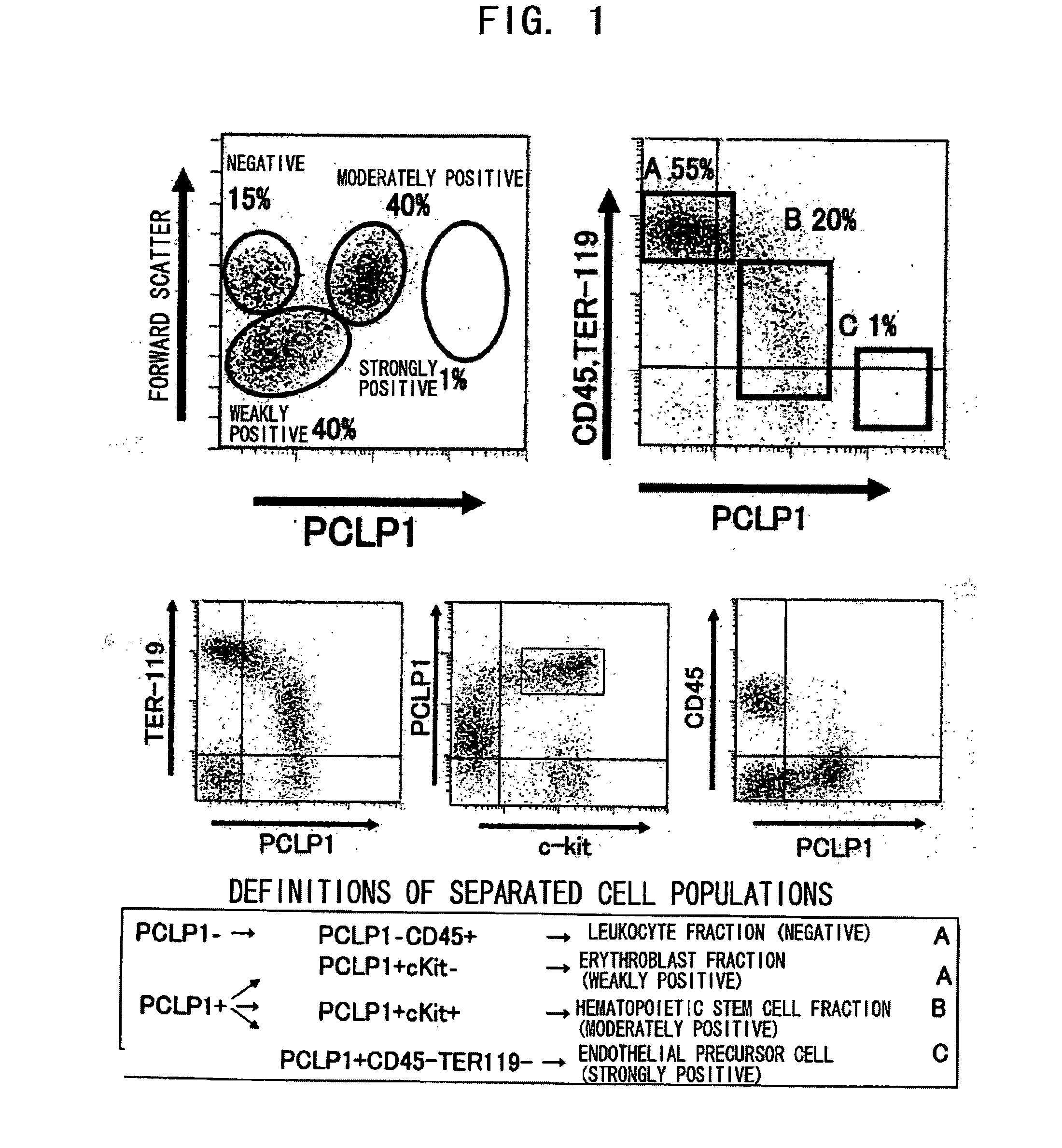 Process For Producing Hematopoietic Stem Cells Or Vascular Endothelial Precursor Cells