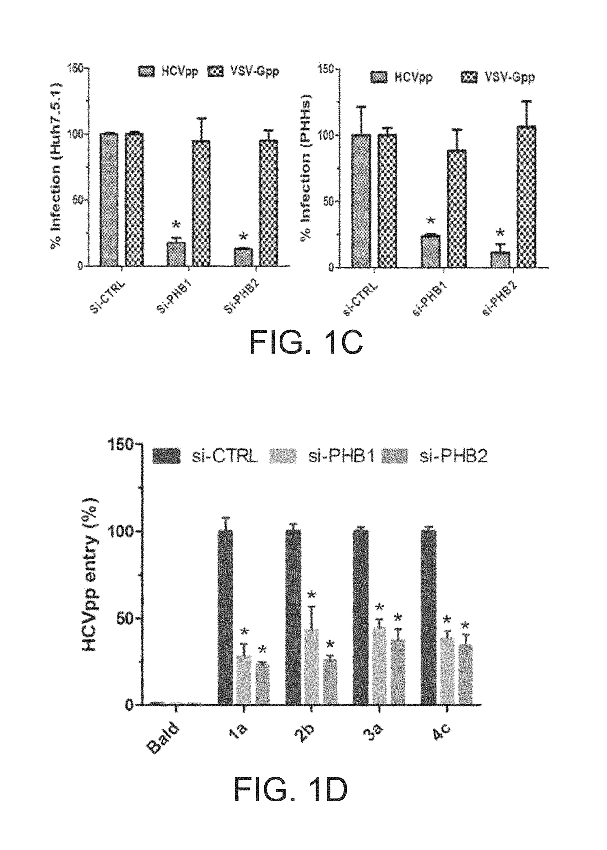 Aglaroxin C and derivatives as HCV entry inhibitors