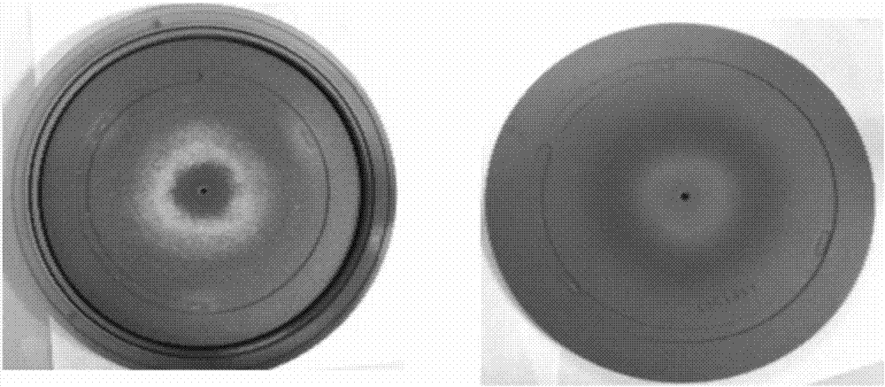 Epitaxial equipment maintenance method