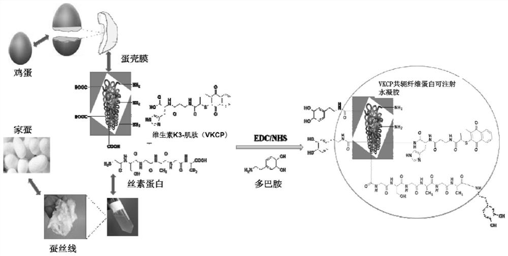 An injectable hydrogel for the treatment of bronchopleural fistula