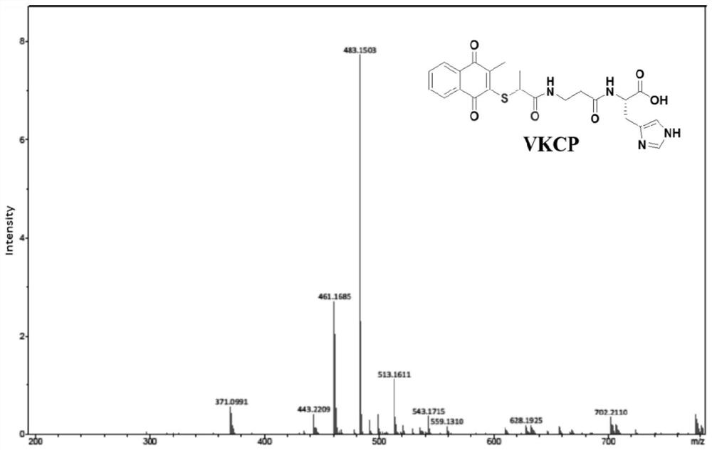 An injectable hydrogel for the treatment of bronchopleural fistula