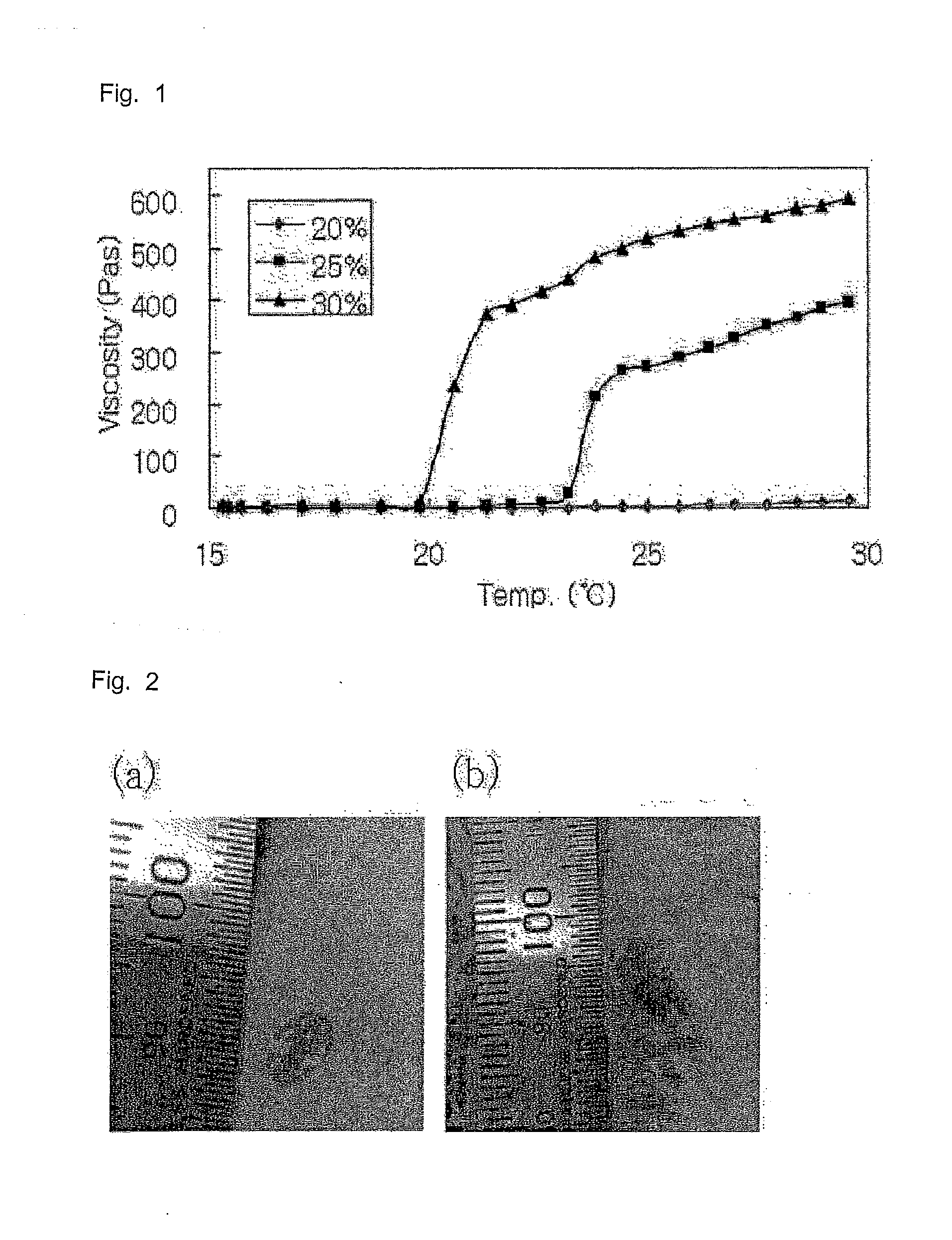 Hydrogel Type Cell Delivery Vehicle for Wound Healing, and Preparation Method Thereof