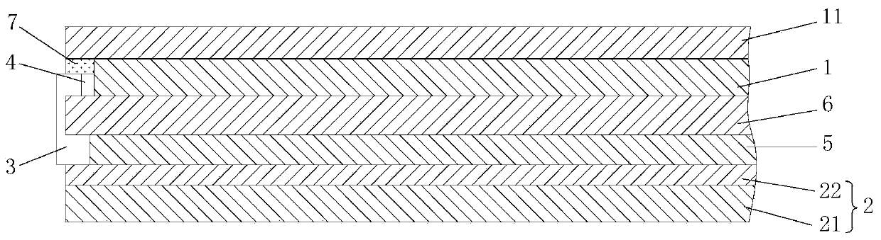 Display device and electronic device