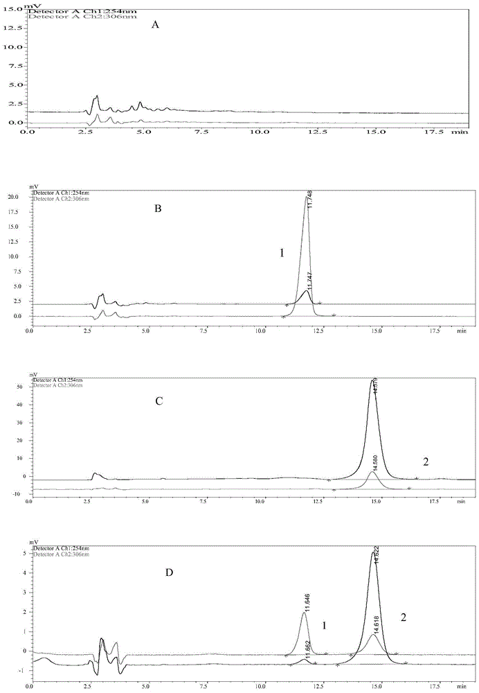 Double targeting liposome with 4-amino-benzene-alpha-D-mannopyranoside (MAN) and wheat germ agglutinin (WGA) modifiers and preparation method thereof and application