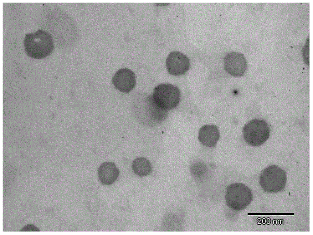 Double targeting liposome with 4-amino-benzene-alpha-D-mannopyranoside (MAN) and wheat germ agglutinin (WGA) modifiers and preparation method thereof and application