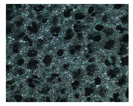 Preparation method of medical porous metal implant material