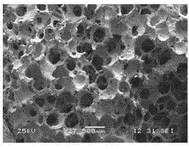 Preparation method of medical porous metal implant material