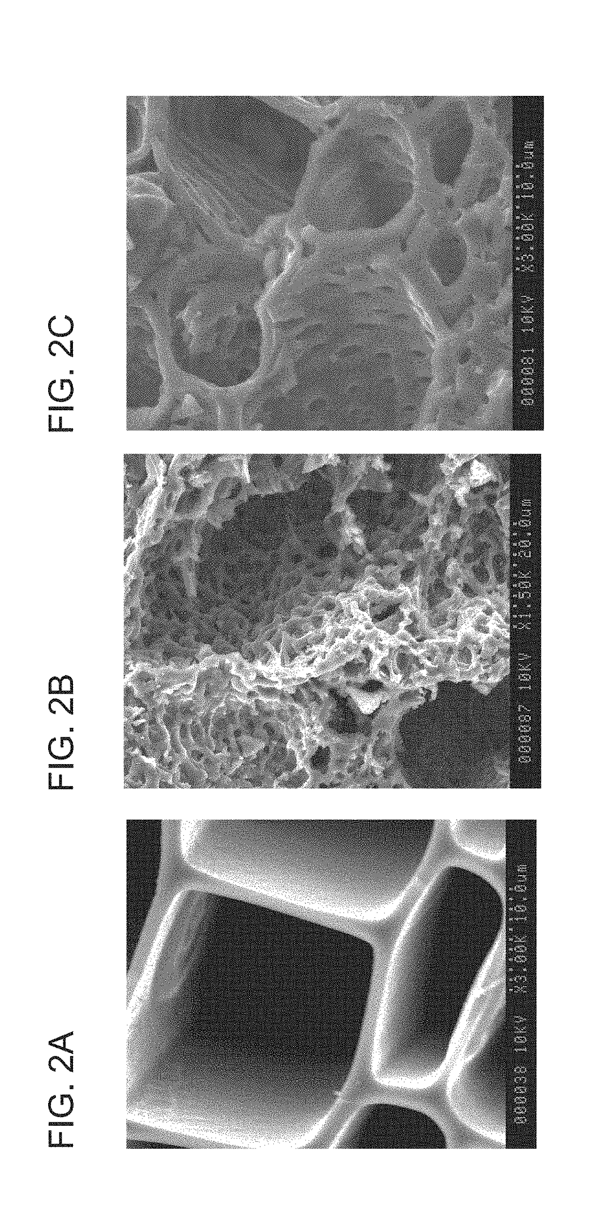 Enhanced Biochar