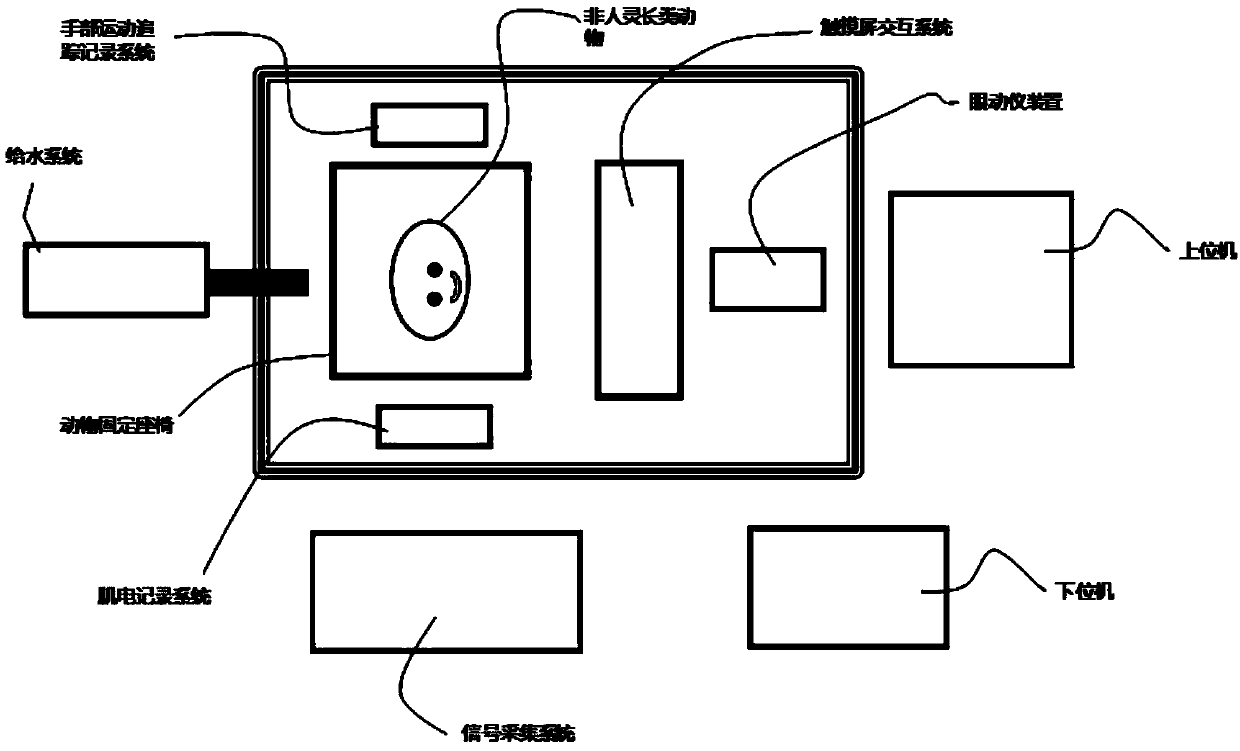 Research system for motion and cognitive functions of non-human primates based on touch screen