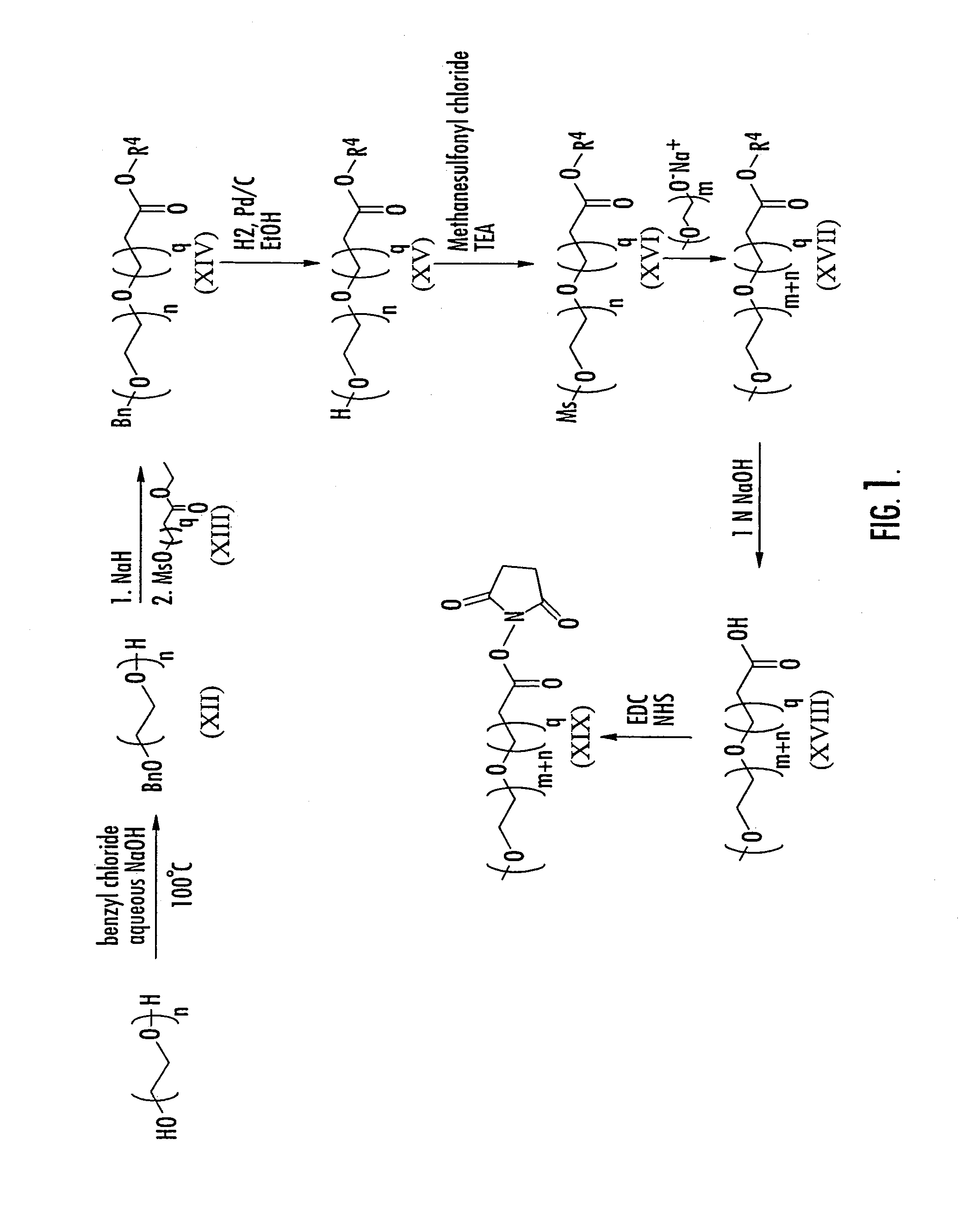 Substantially monodispersed mixtures of polymers having polyethylene glycol moieties