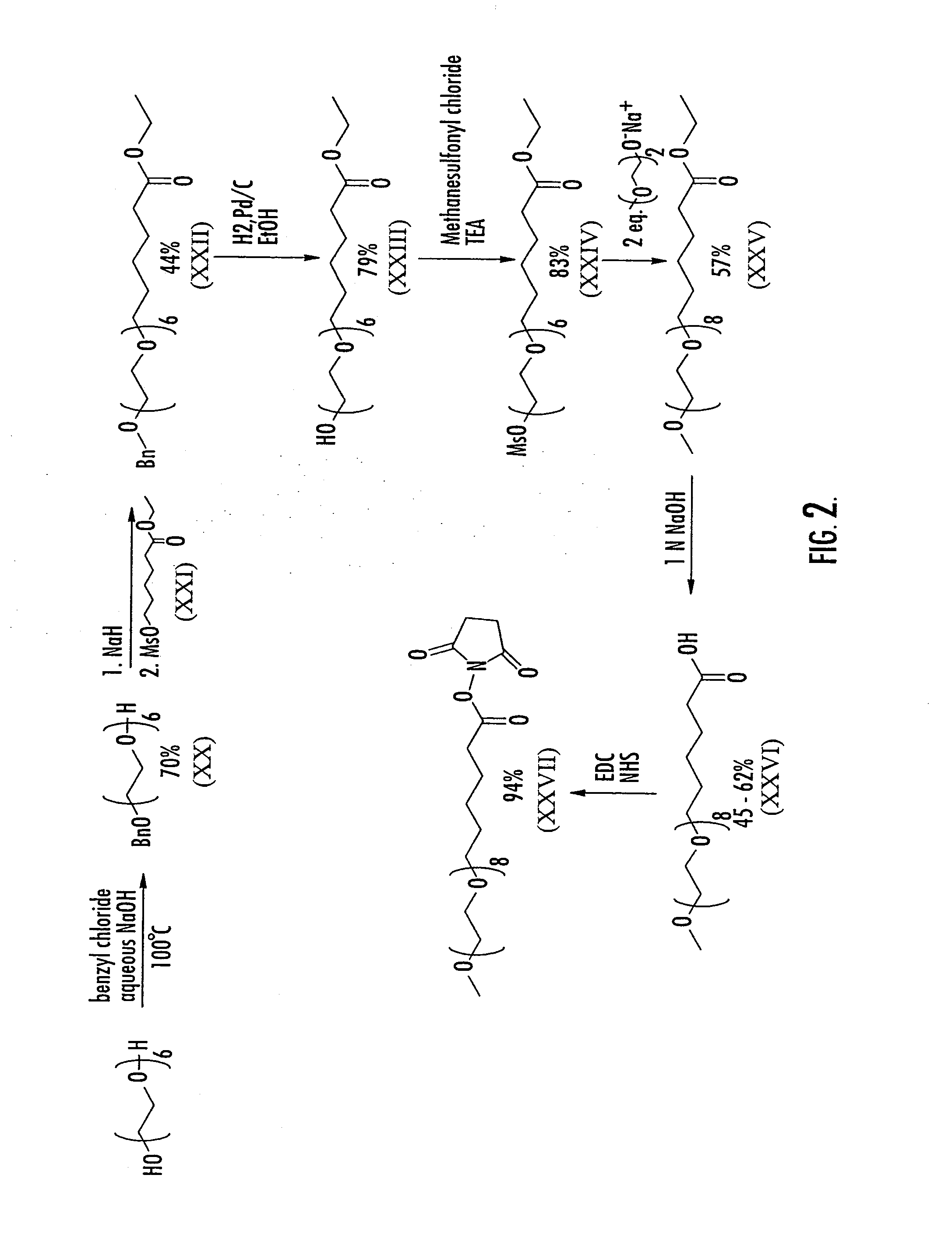 Substantially monodispersed mixtures of polymers having polyethylene glycol moieties