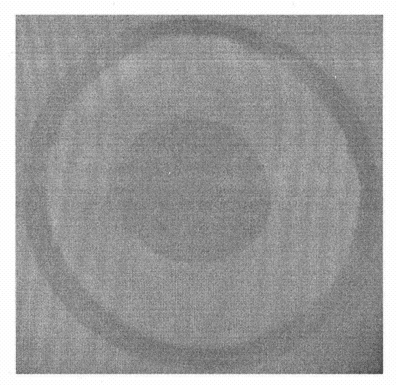 Compositions and preparation method of extra-large mode area metaphosphate optical fiber