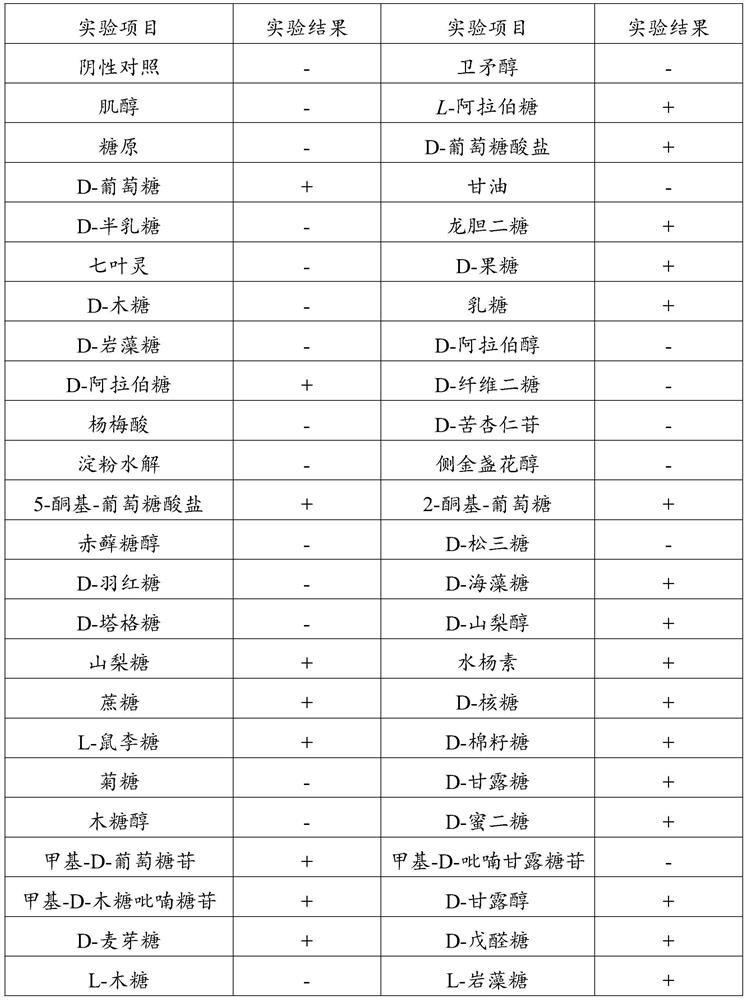 Wormwood traditional Chinese medicine micro-ecological fermentation preparation and preparation method and application thereof