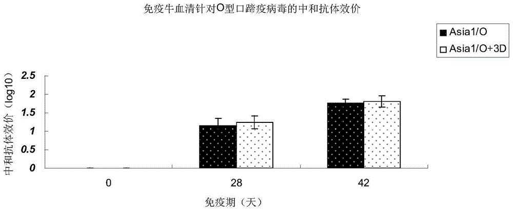 Bovine asia1/o type foot-and-mouth disease bivalent multi-epitope vaccine and its preparation method and application