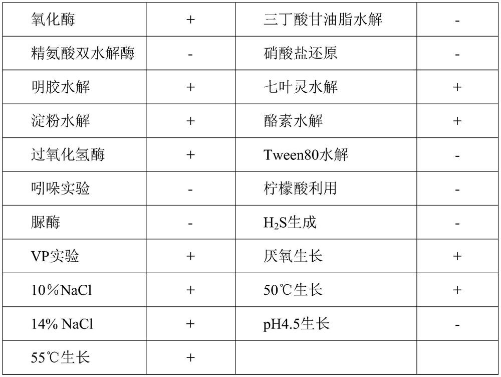 Bacillus siamese strain and its application