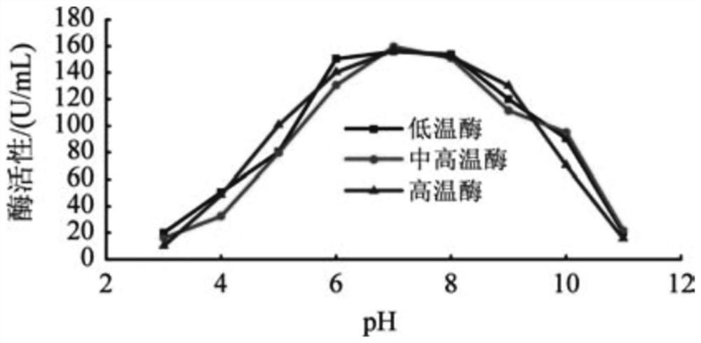 Low-temperature guar gum breaker for oil and gas well fracturing as well as preparation method and application of low-temperature guar gum breaker