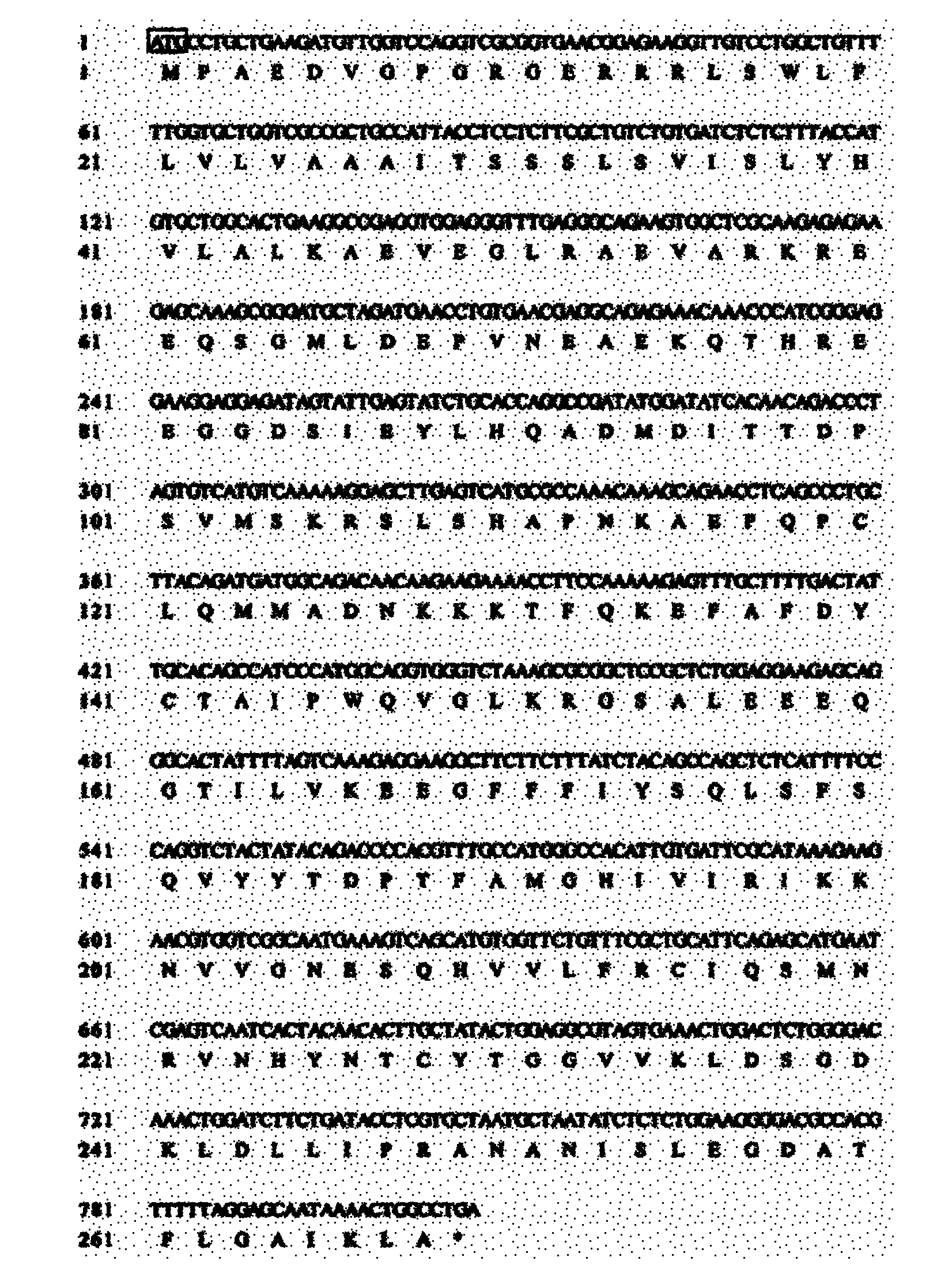 Danio rerio B-lymphocyte activating factor (zBAFF) cDNA (complementary deoxyribonucleic acid), and cloning method and application thereof in recombination