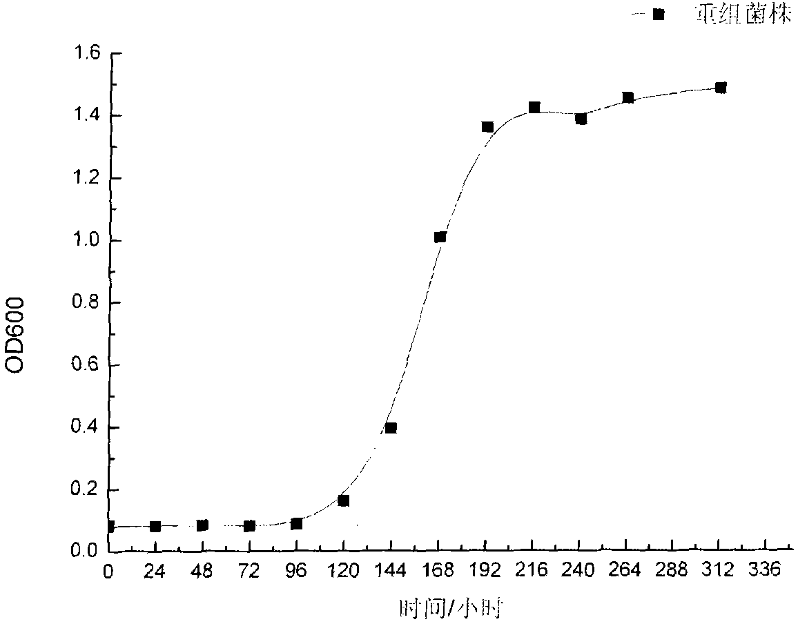 Recombinant zymomonas mobilis capable of producing ethanol by using xylose and fermentation method thereof