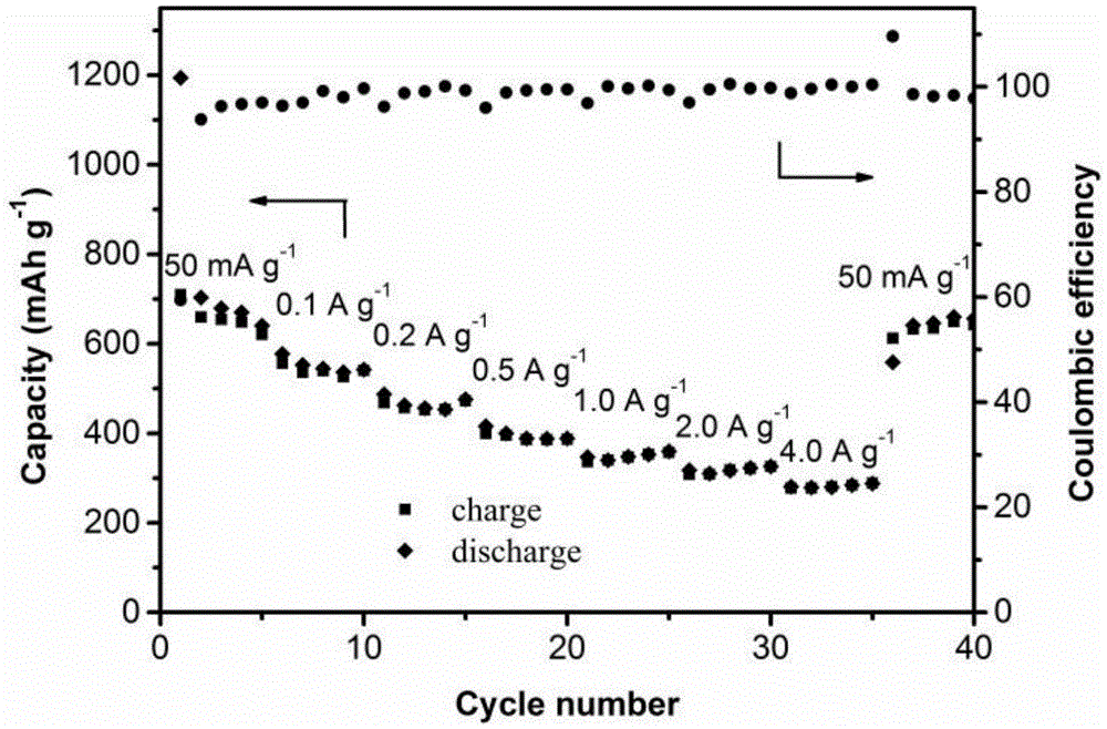 Nitrogen-doped carbon nanotube adopting hierarchical structure and preparation method