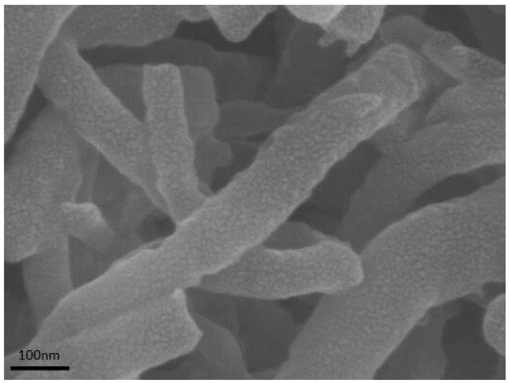 Nitrogen-doped carbon nanotube adopting hierarchical structure and preparation method