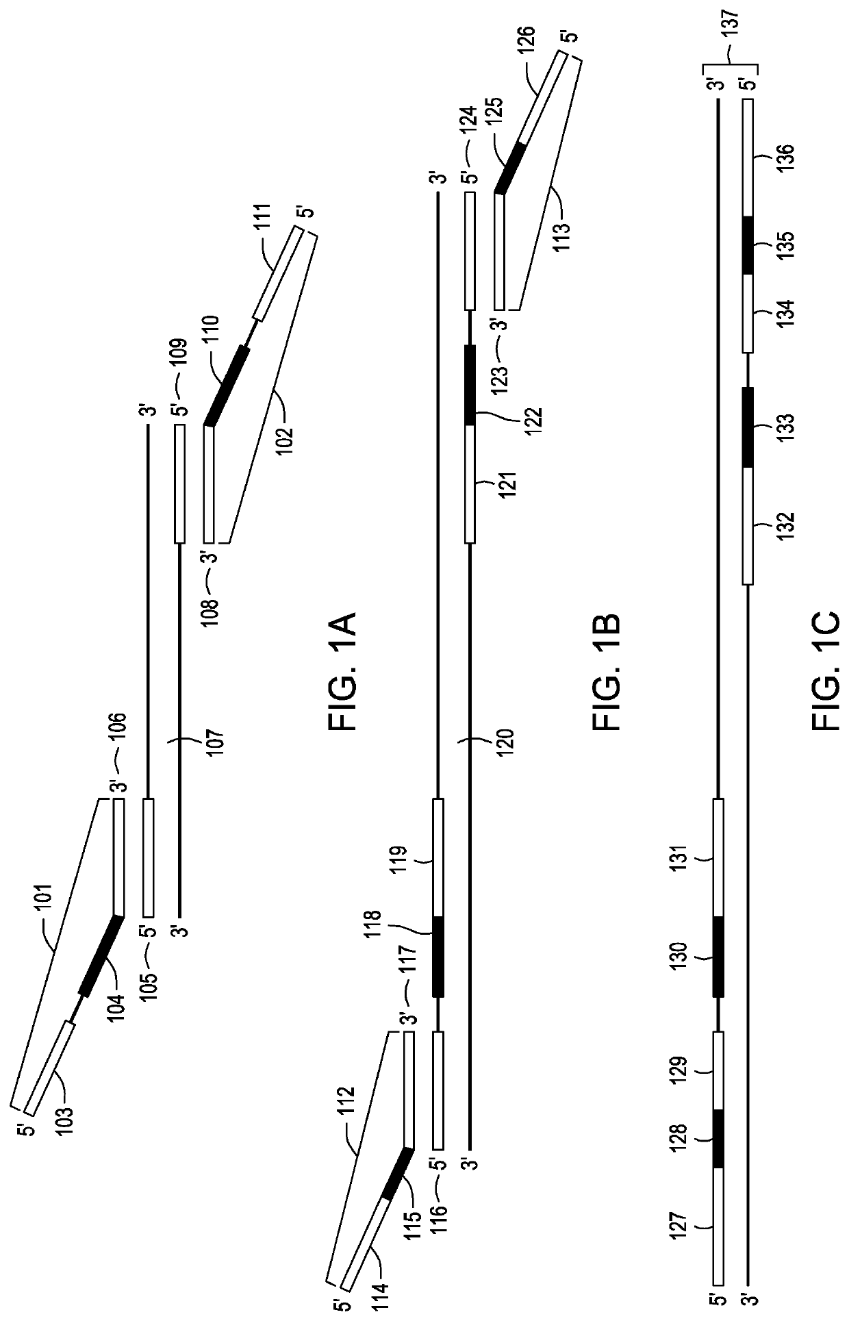 Optimizing high-throughput sequencing capacity