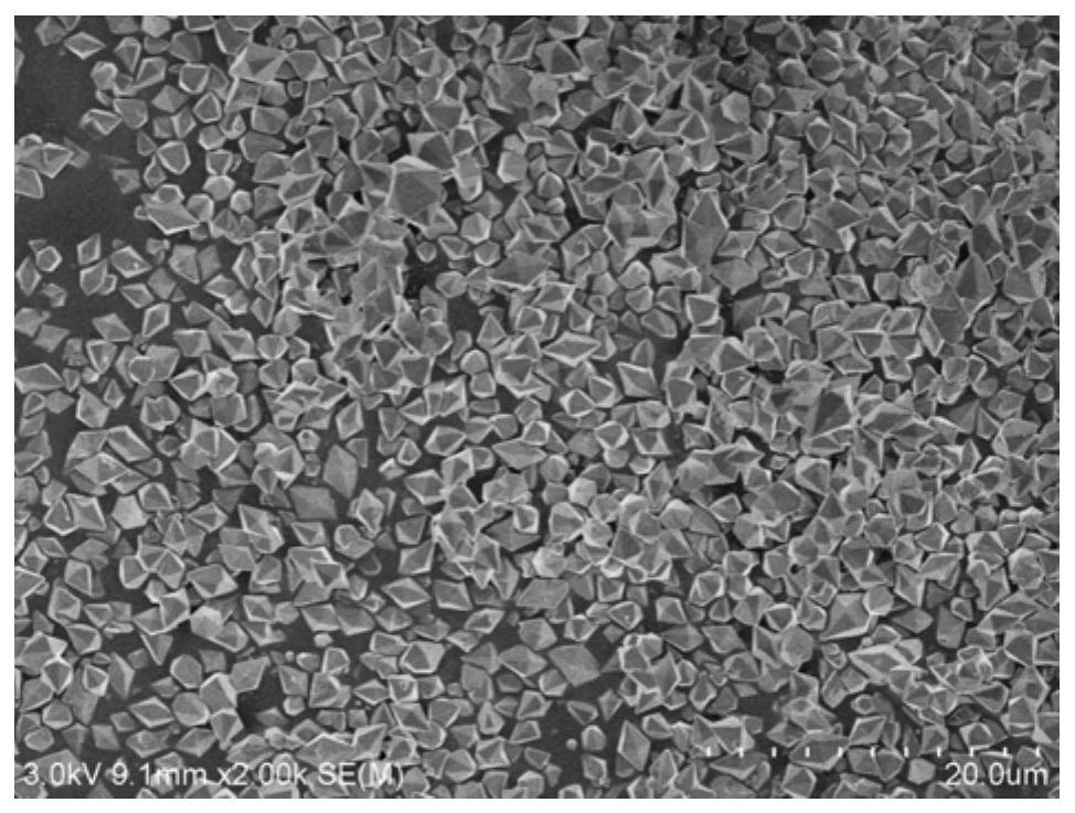 A kind of cobalt borophosphate material and its preparation method and application