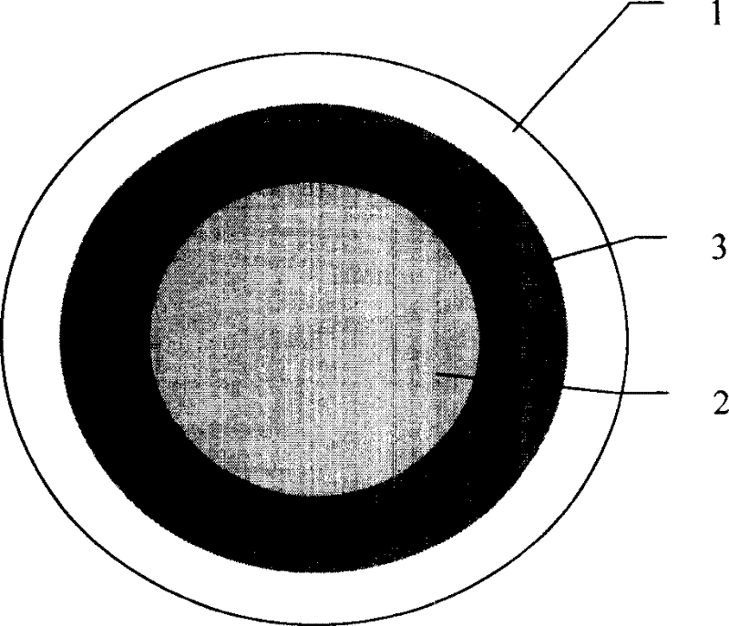 Coating type particle composite fertilizer and producing technique thereof