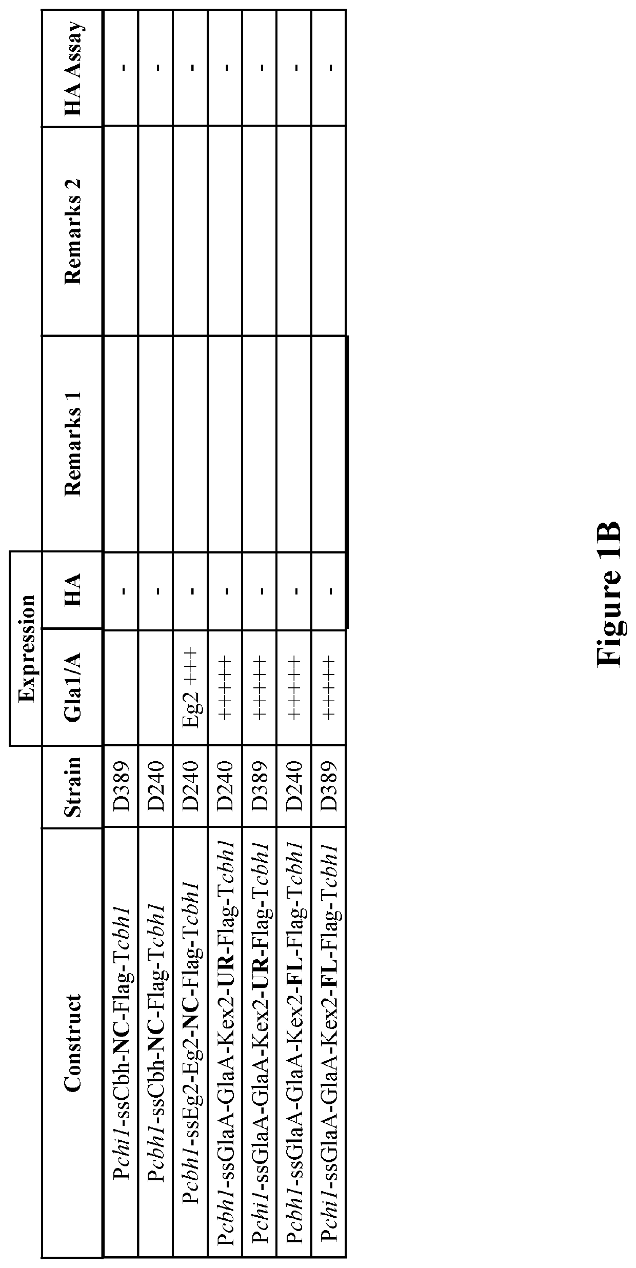 Production of flu vaccine in myceliophthora thermophila