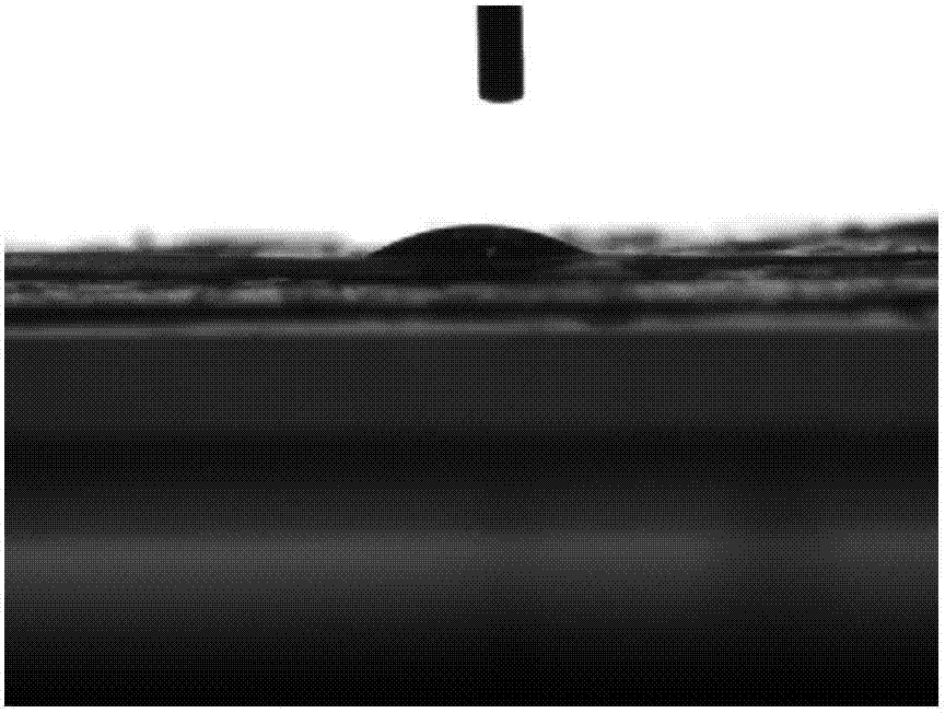 Preparation method of organic silicon modified collagen membrane