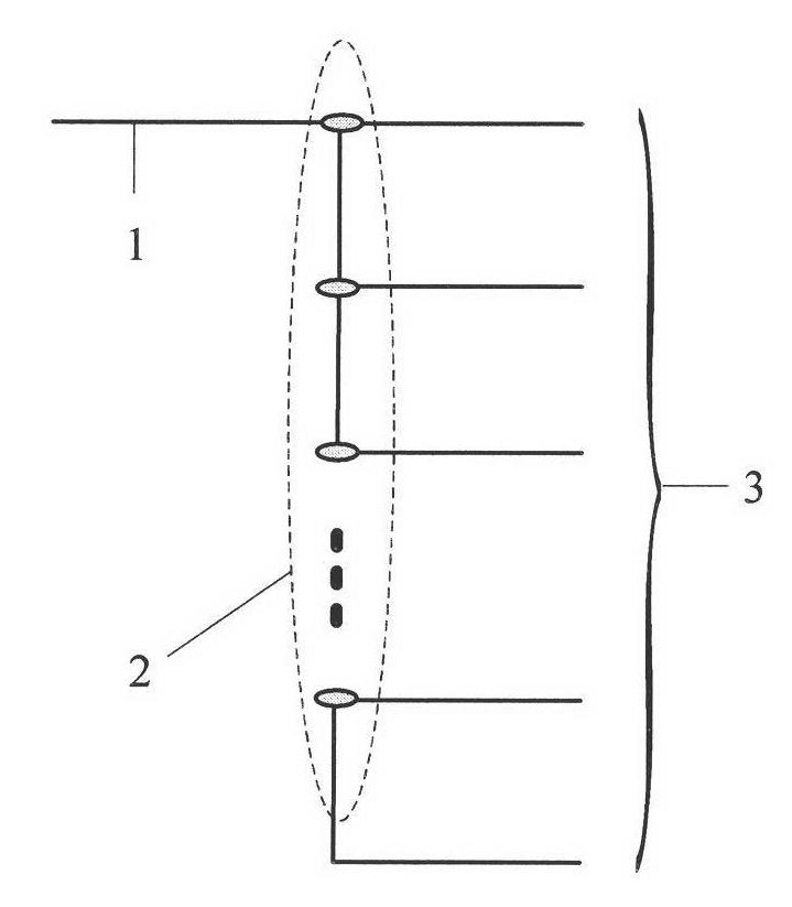 All optical quantizing encoder based on nonlinear polarization rotation effects in semiconductor optical amplifiers (SOA)