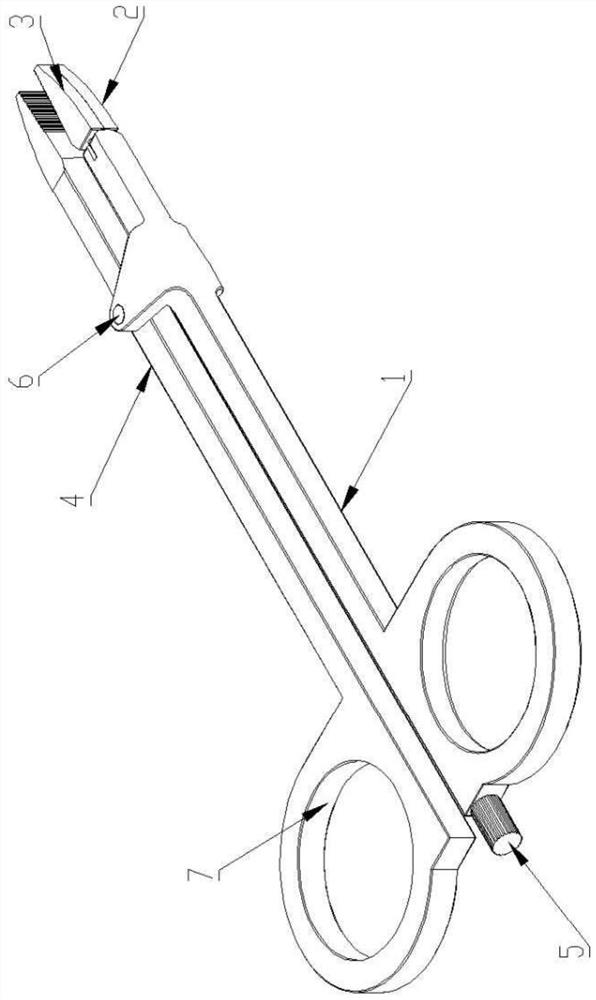 medical surgical forceps