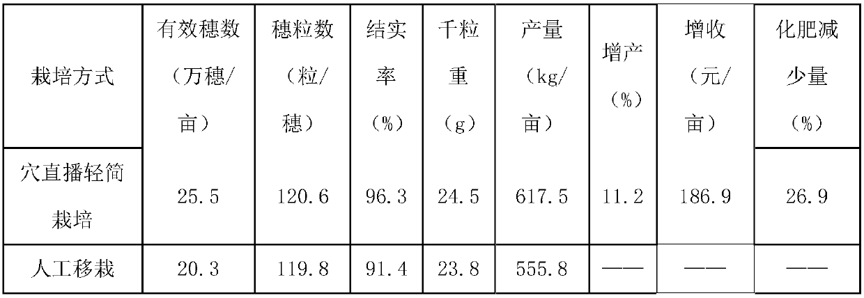 Light cultivation method of rice by mechanized hill-direct-seeding